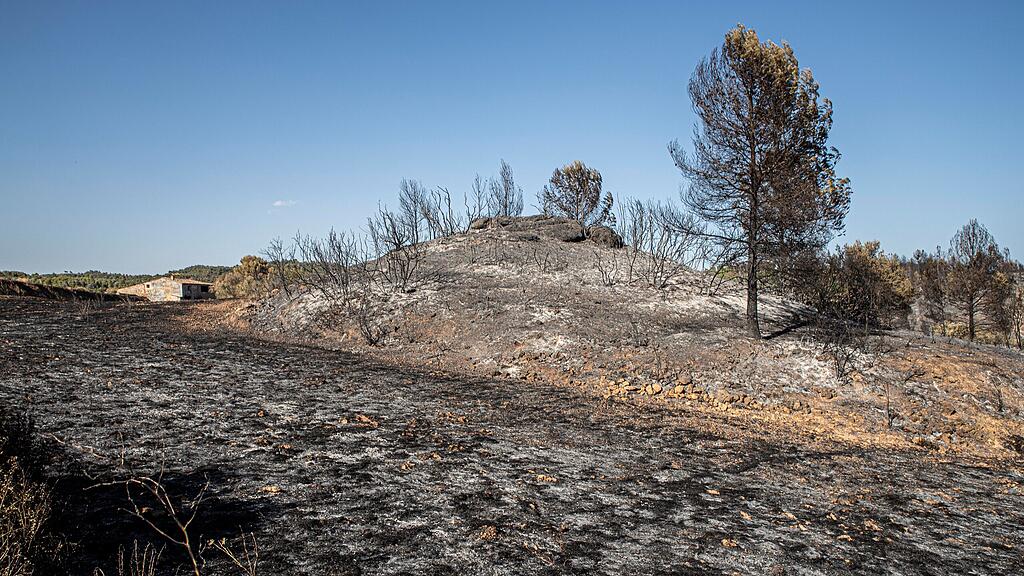 Waldbrand Spanien
