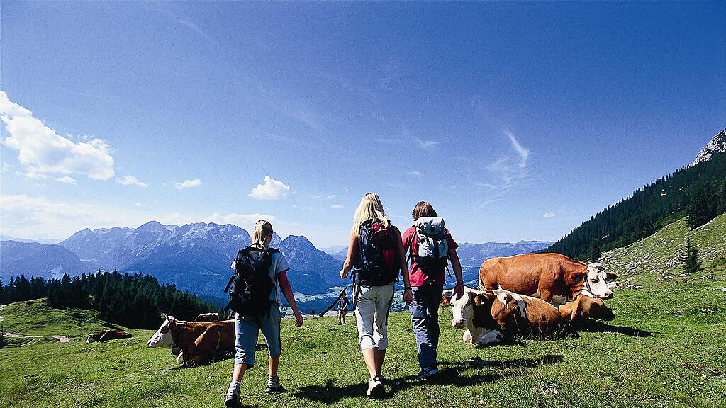 wandern7.jpg