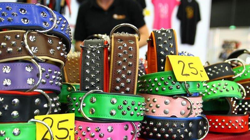 Festival der Hunde