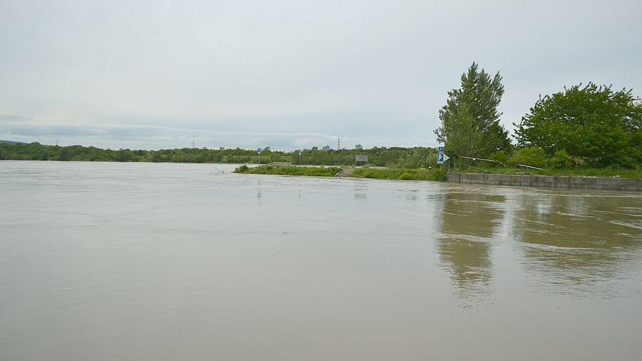 Leserreporter: Hochwasser in Wien-Döbling (Donau bei Nussdorf)