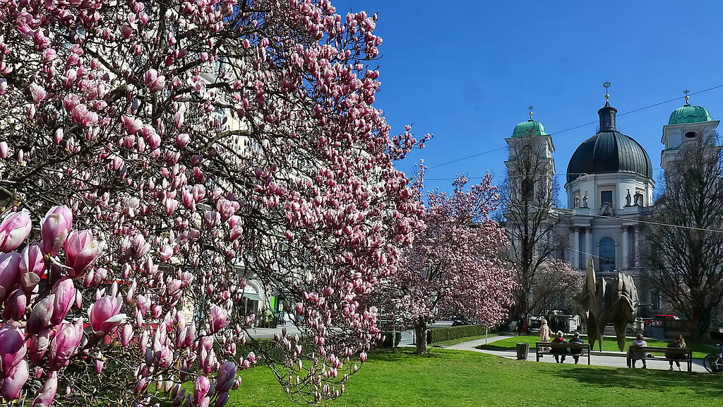 20190429fmt_makartplatz_ta_004.JPG