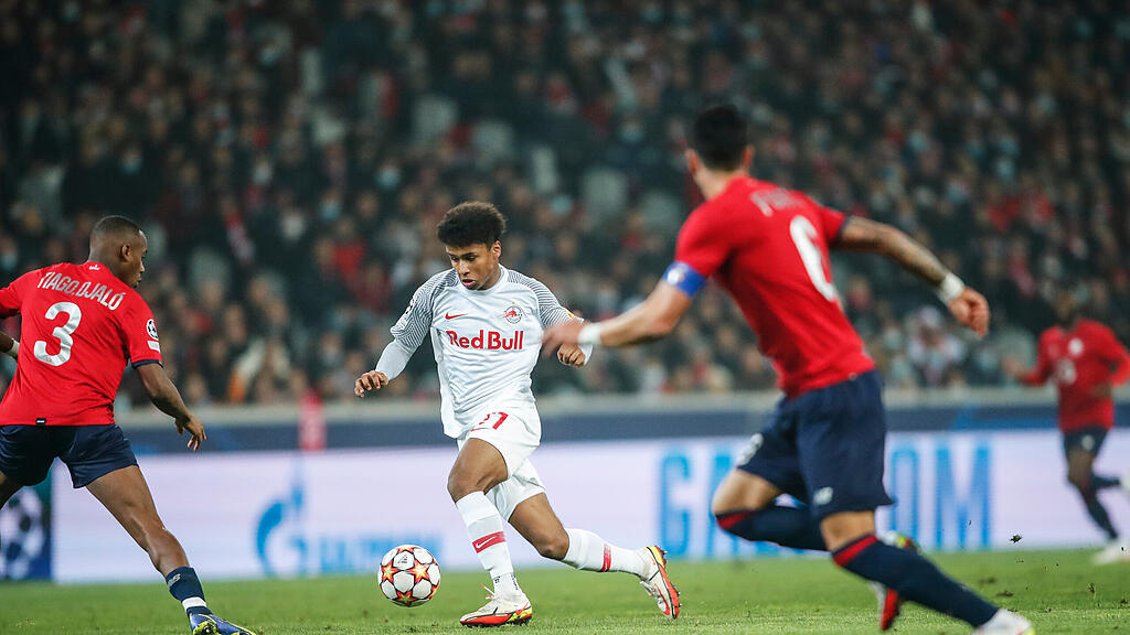 Lille, Salzburg, Champions League, Adeyemi