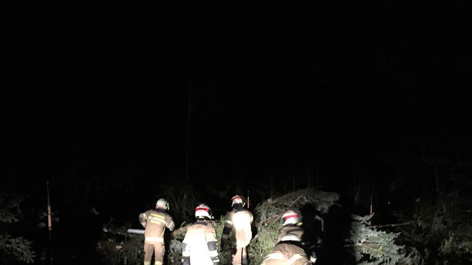 Feuerwehr Thalgau im Einsatz