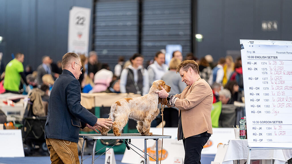 Internationale Hundeausstellung Salzburg 2022