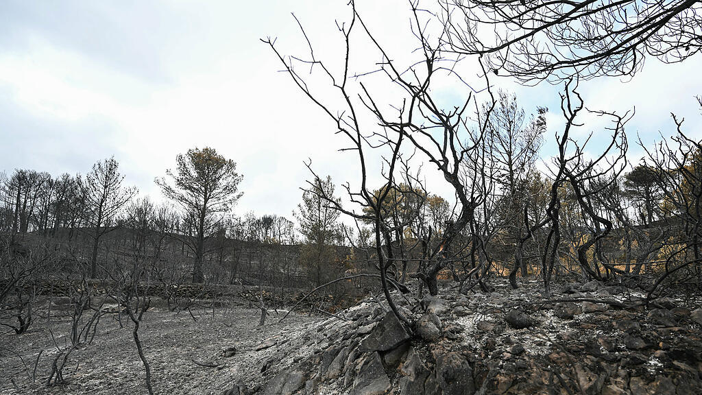 17.000 Hektar Land bei Waldbrand in Frankreich zerstört