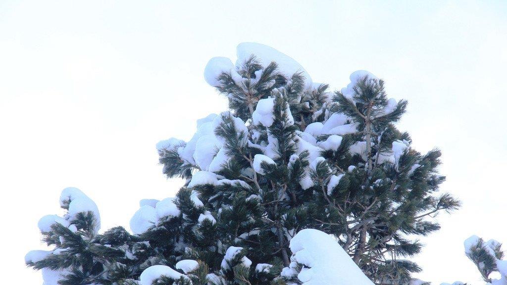 Winterzauber im Pongau
