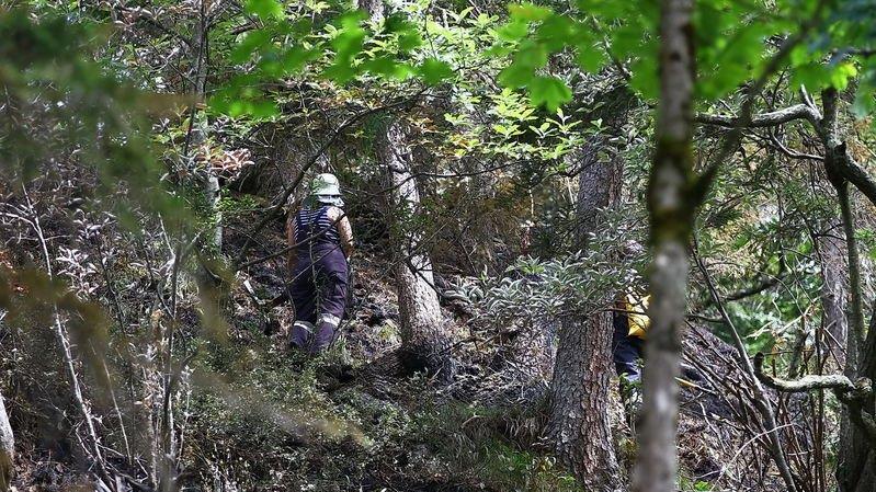 Waldbrand unter Kontrolle