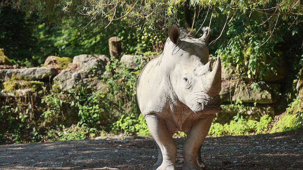 tierpflegerin_zoo20230613038.jpg