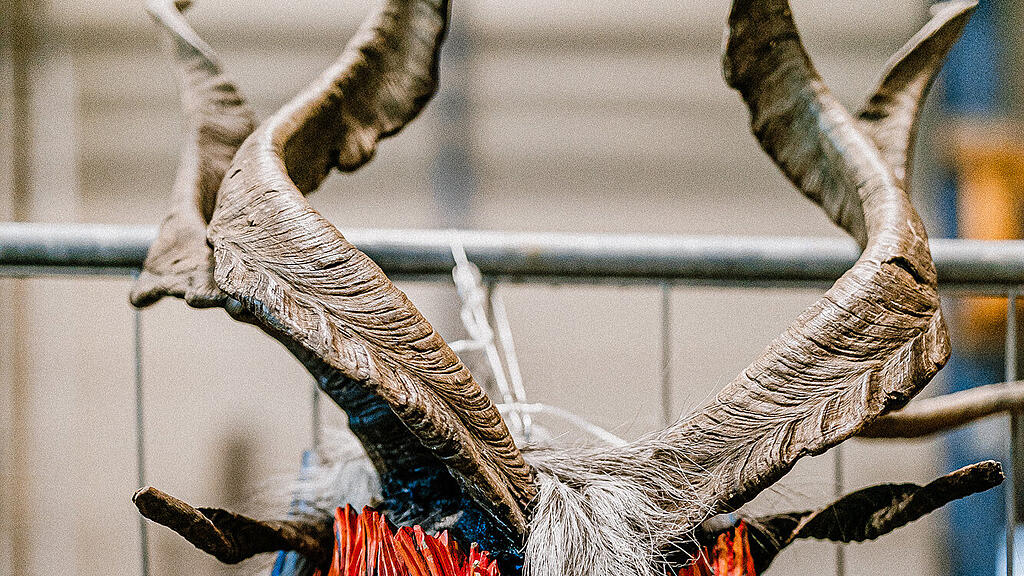 Krampus- und Perchtenflohmarkt