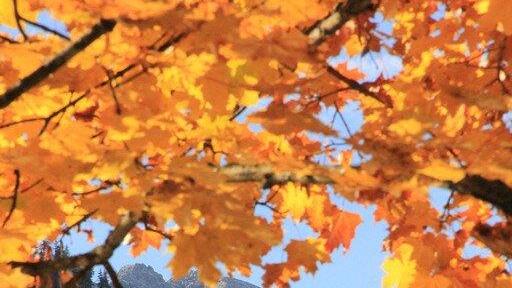 Goldener Herbst in Bayern