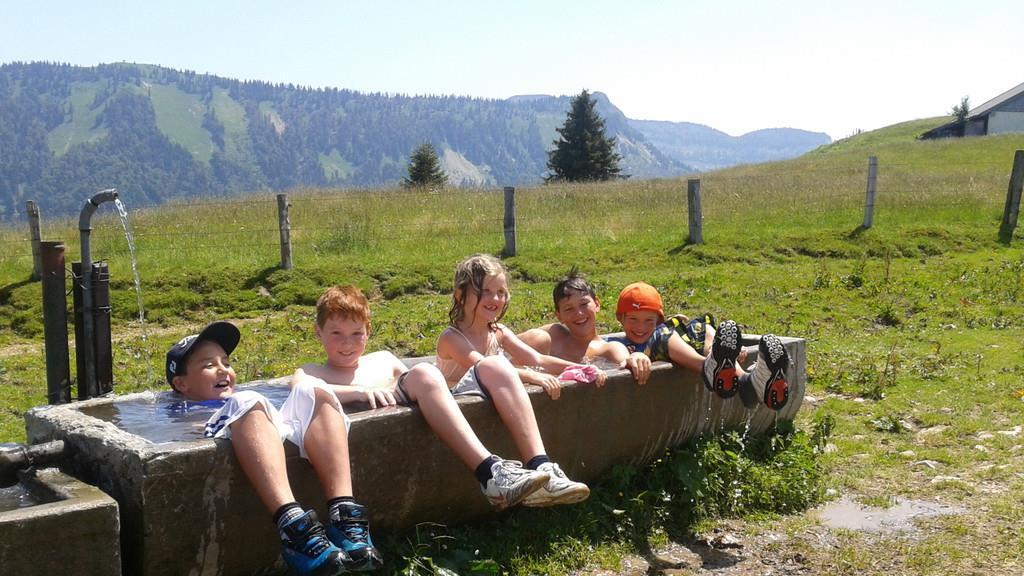 Die schönsten Sommer-Fotos