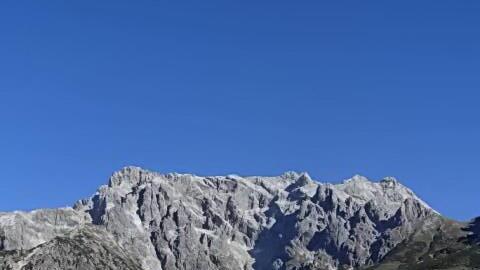 Christbaum aus Maria Alm