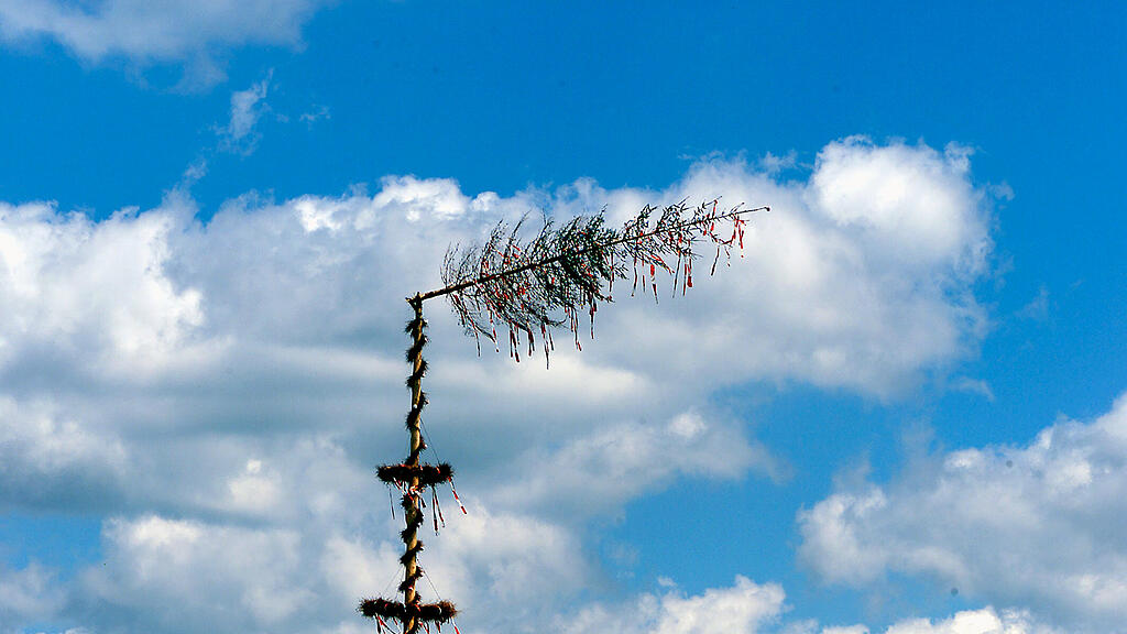 In Bayern wurde eine Frau von einem Maibaum erschlagen. (SYMBOLBILD)