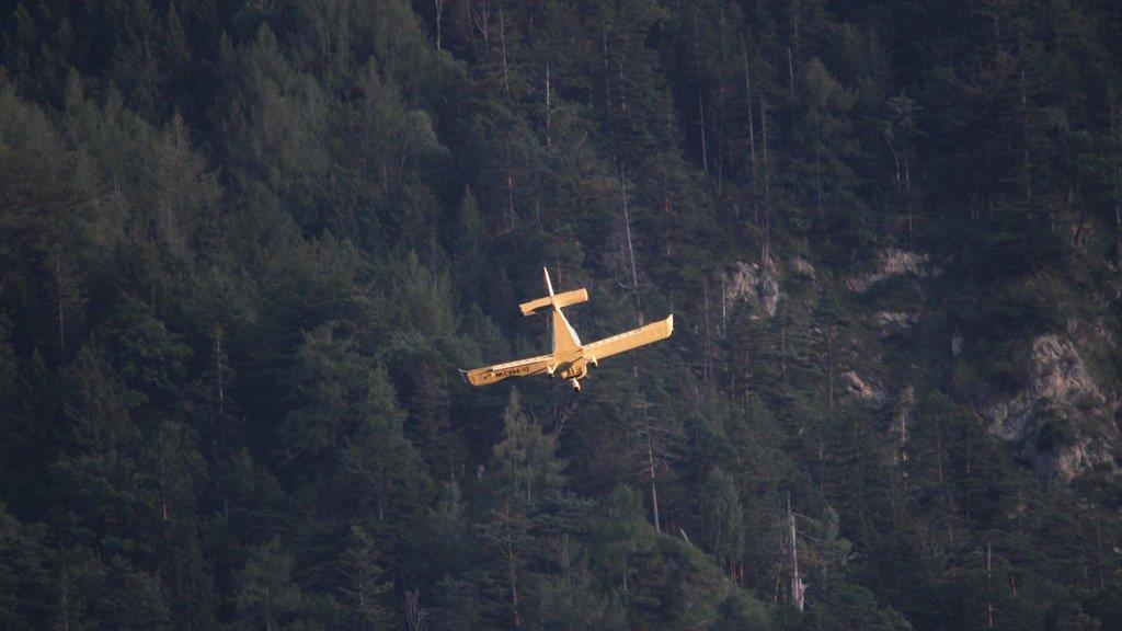 Segelflugzeug in Baumkronen