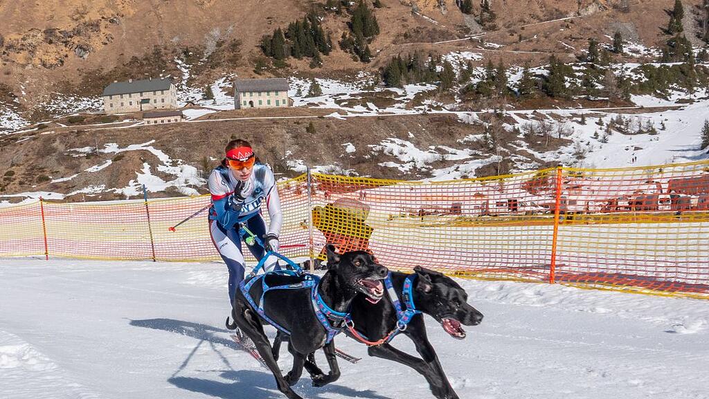 Schlittenhunderennen in Sportgastein