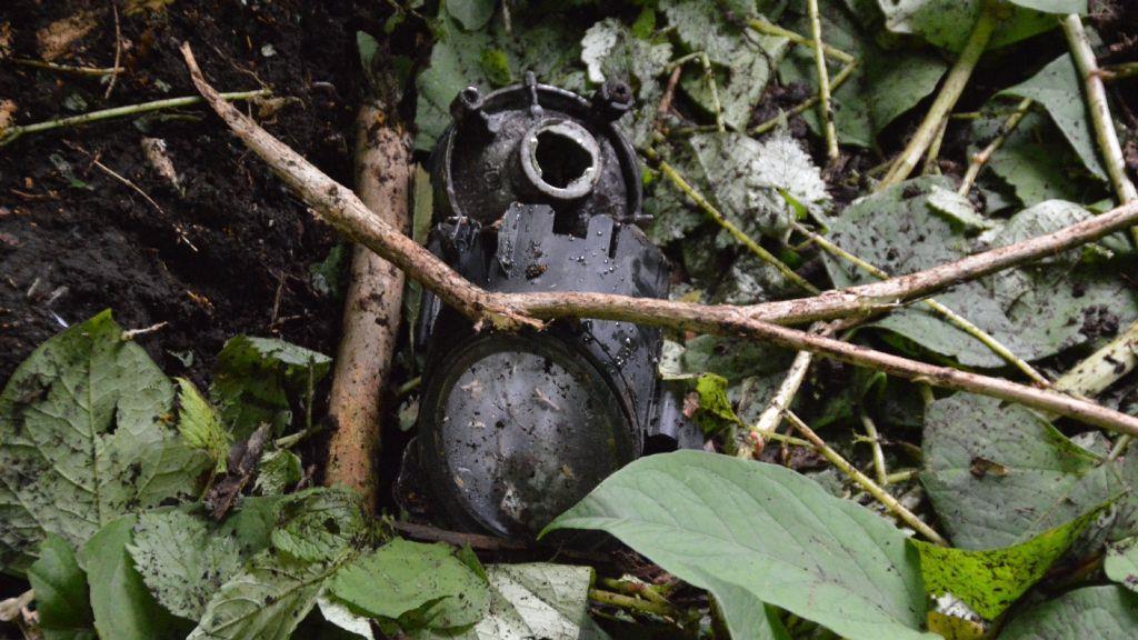 Pinzgauerinnen in Bayern verletzt, I