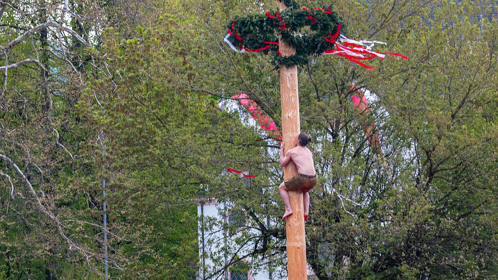 Maibaumaufstellen in Aigen