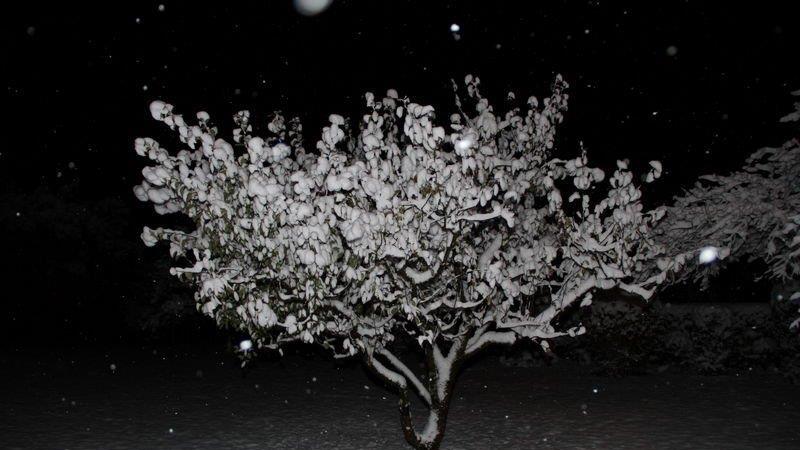 Erster Schnee in Salzburg