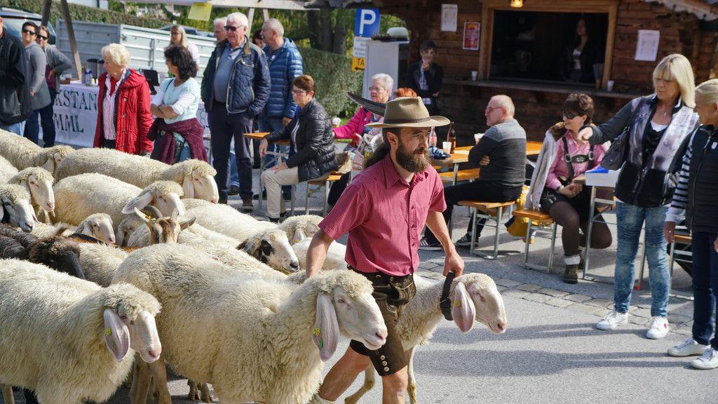 Bauernherbst-Fest in Krimml