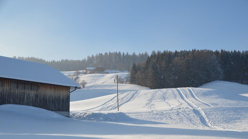 Winterspaziergang am Gaisberg