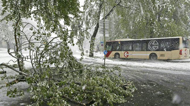 Schneechaos in Kärnten
