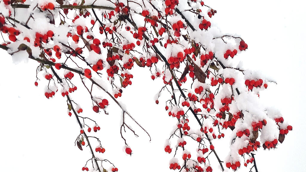 symb_winter_schnee_eis