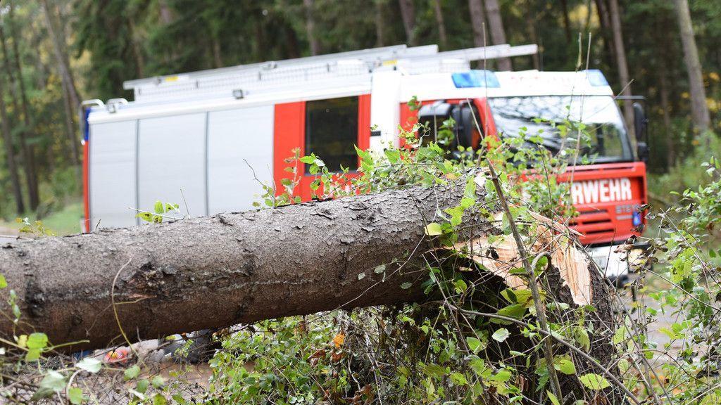 Sturmschäden in Österreich