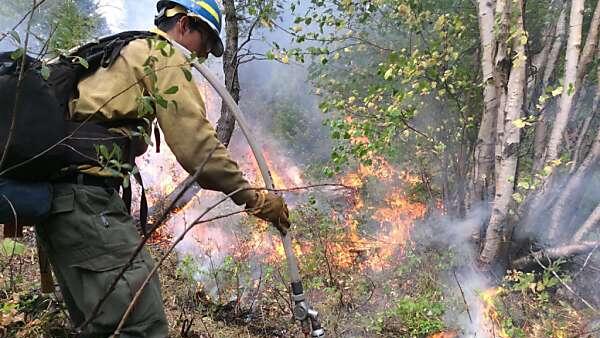 Mehr als 150 Feuerwehrleute im Einsatz