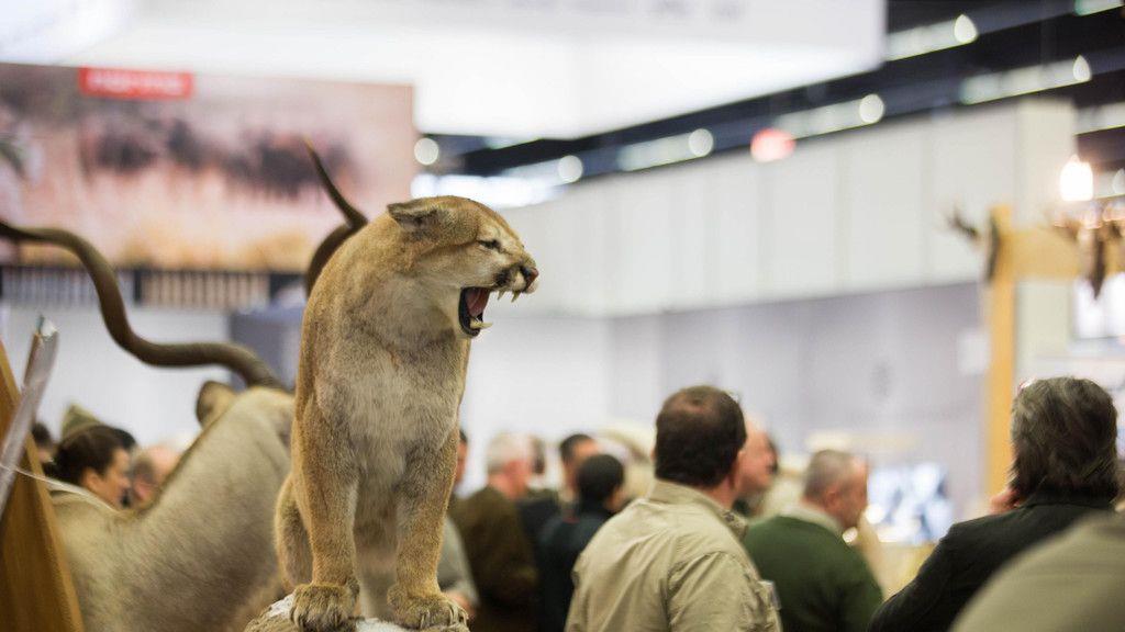 "Hohe Jagd und Fischerei" im Messezentrum Salzburg I