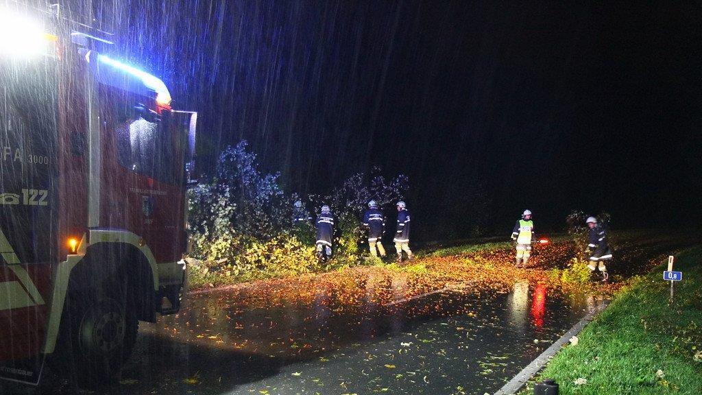 Sturm über Salzburg: Umgestürzter Baum in Anif