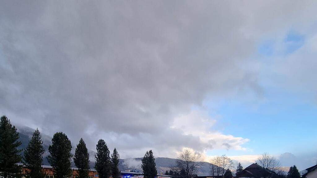 IMG-20250128-WA0010.jpg