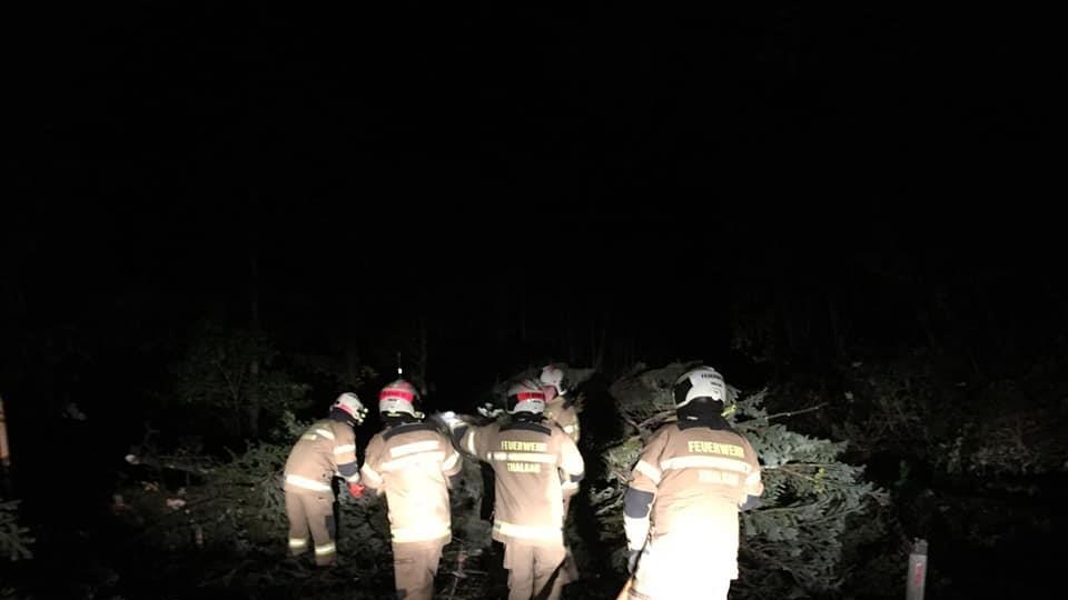 Feuerwehr Thalgau im Einsatz