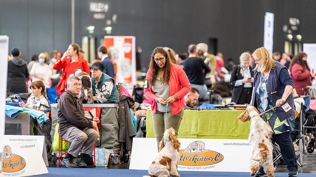 Internationale Hundeausstellung Salzburg 2022