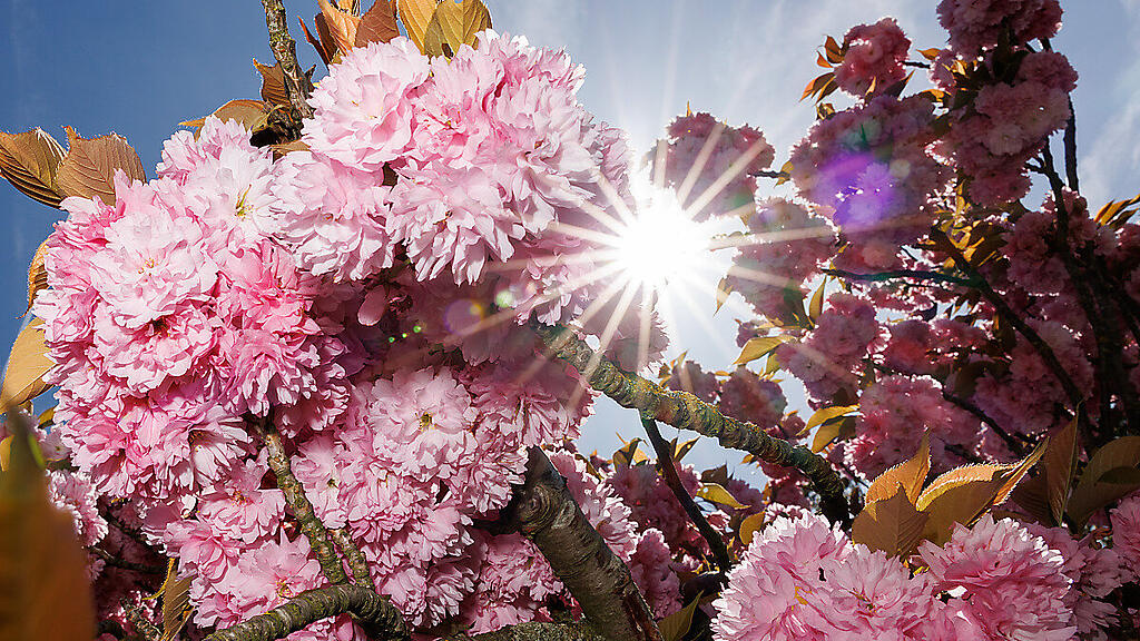 Globale Durchschnittstemperatur im April lag erstmals über 15 Grad