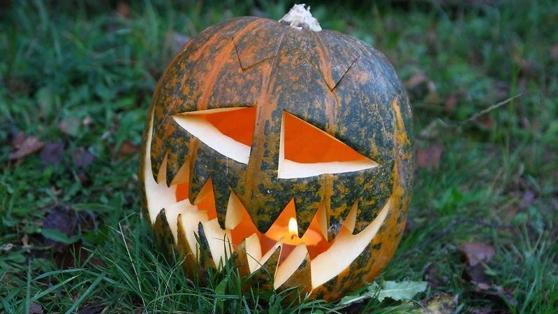 Halloween im Zoo