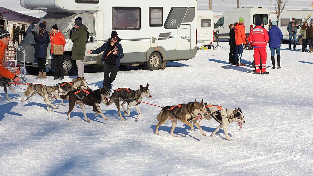 26. Schlittenhunderennen