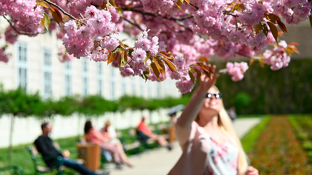 symb_Frühling, symb_Sonne,