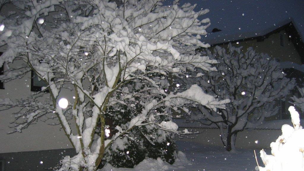 Schnee in Salzburg: Userbilder