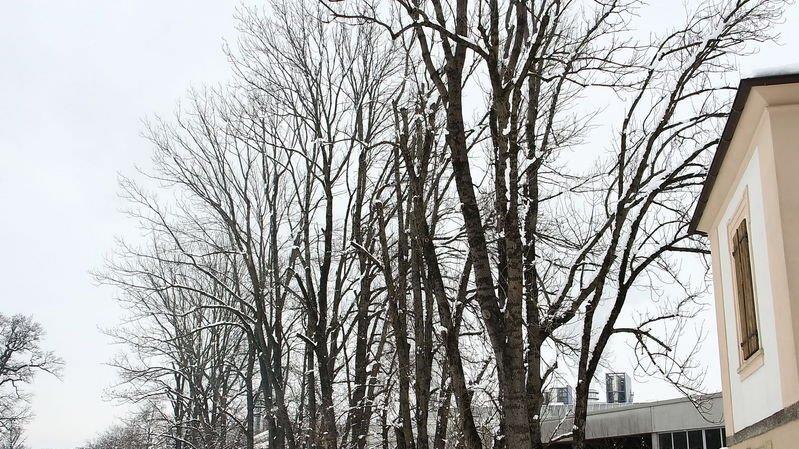 Bilder aus Klessheim