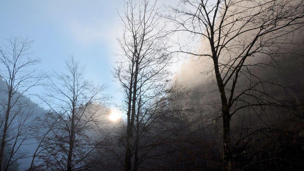Tauwetter in OÖ I