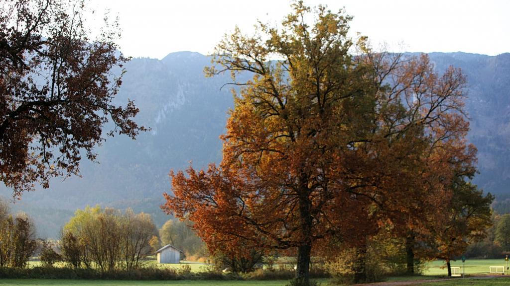 Spaziergang durch den Flachgau