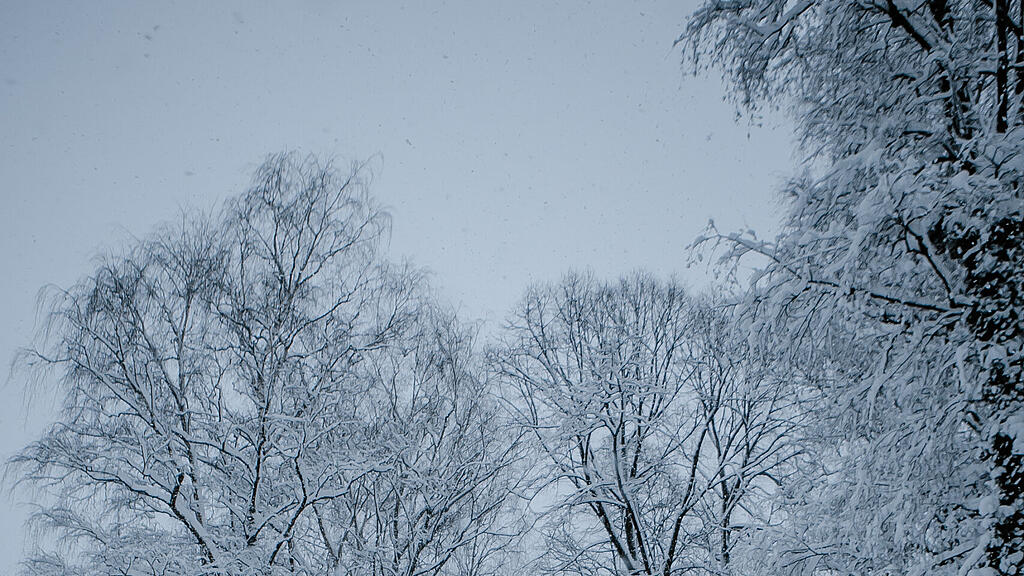 Verschneites Salzburg in den Morgenstunden