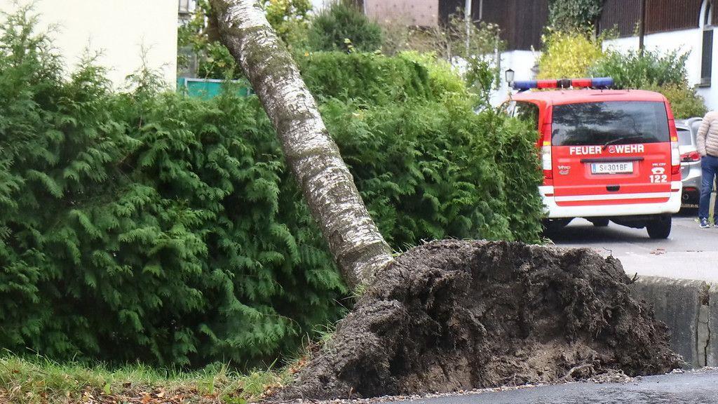 Sturmtief "Herwart" zieht über Salzburg hinweg I