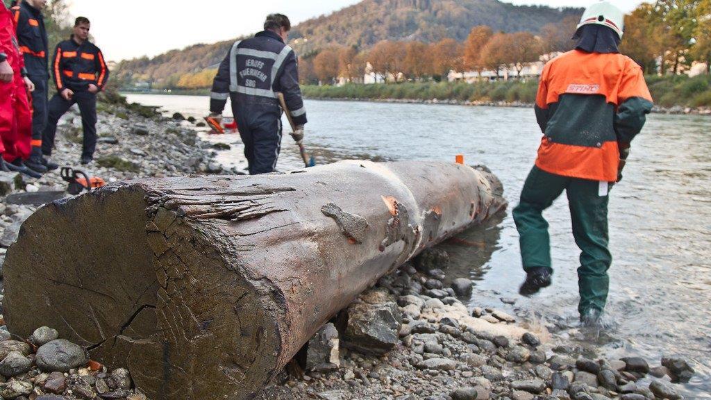 Berufsfeuerwehr barg Riesen-Baumstamm