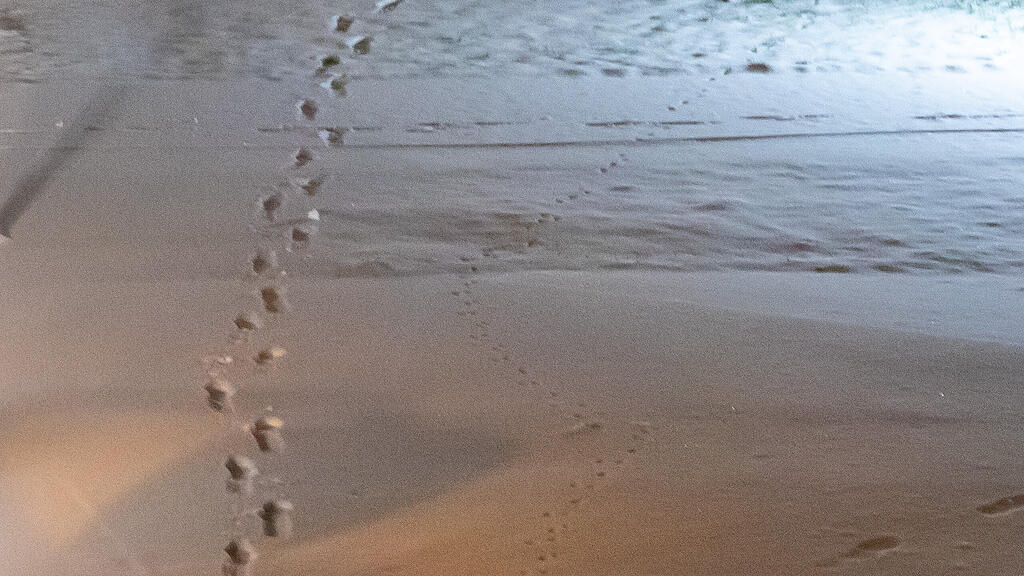 Erster Schnee in Salzburg