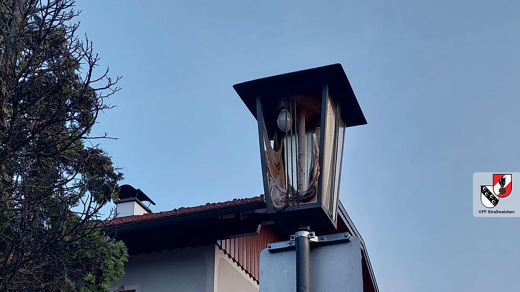 Heckenbrand in Straßwalchen