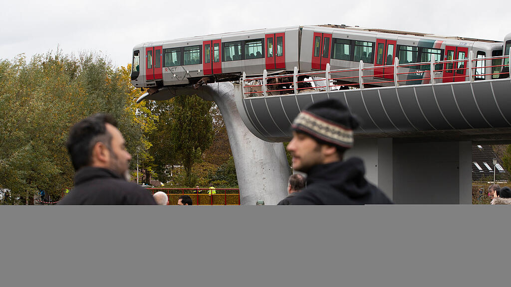 Wal fängt Bahn in Niederlanden