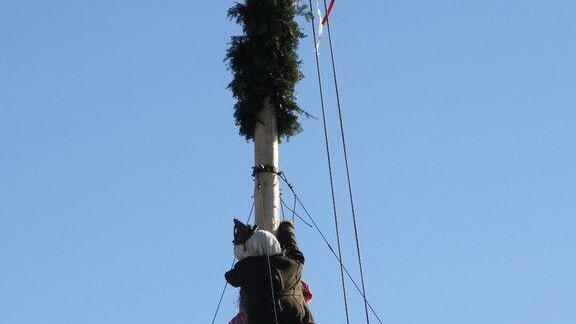 Maibaumklettern in Hof