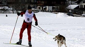 Hundeschlittenrennen in Inzell