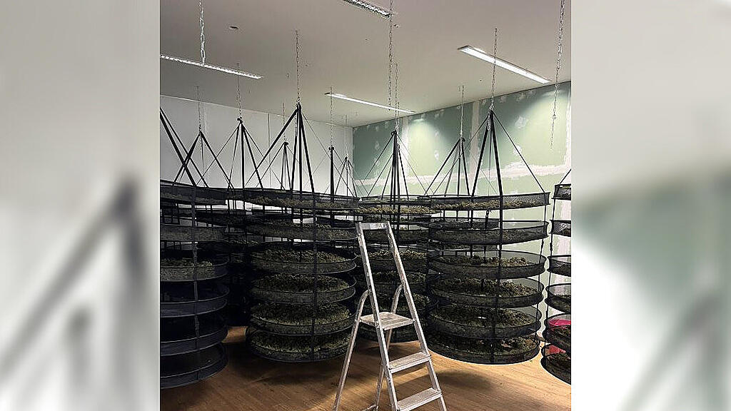 Drogenfund Wien NÖ